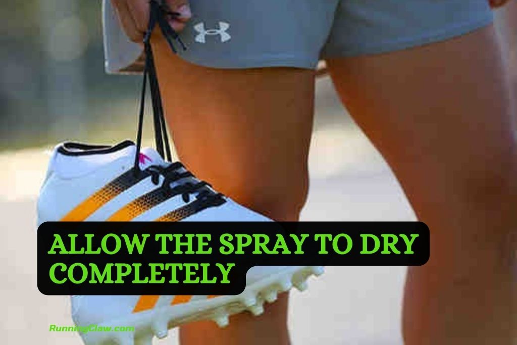 Allow the Spray to Dry Completely