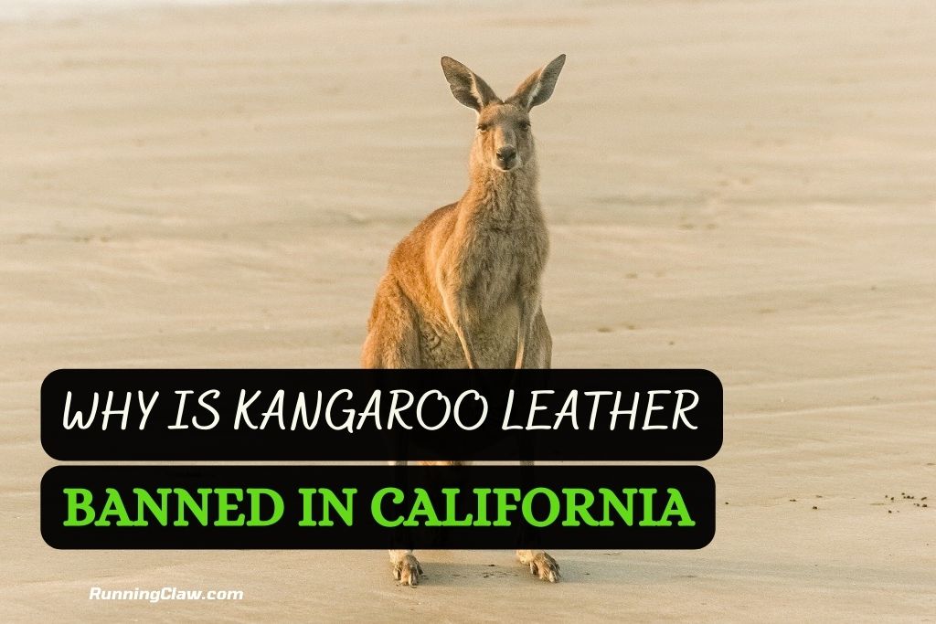 Why is Kangaroo Leather Banned in California