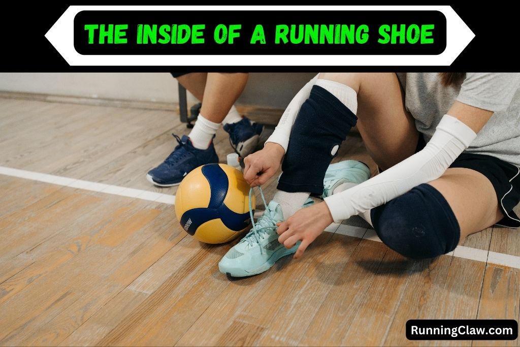 The inside of a running shoe